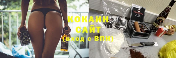 крисы Осинники