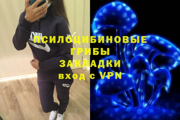 герыч Арсеньев