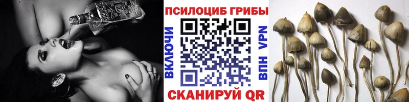 Галлюциногенные грибы мухоморы  Купить  Крым 